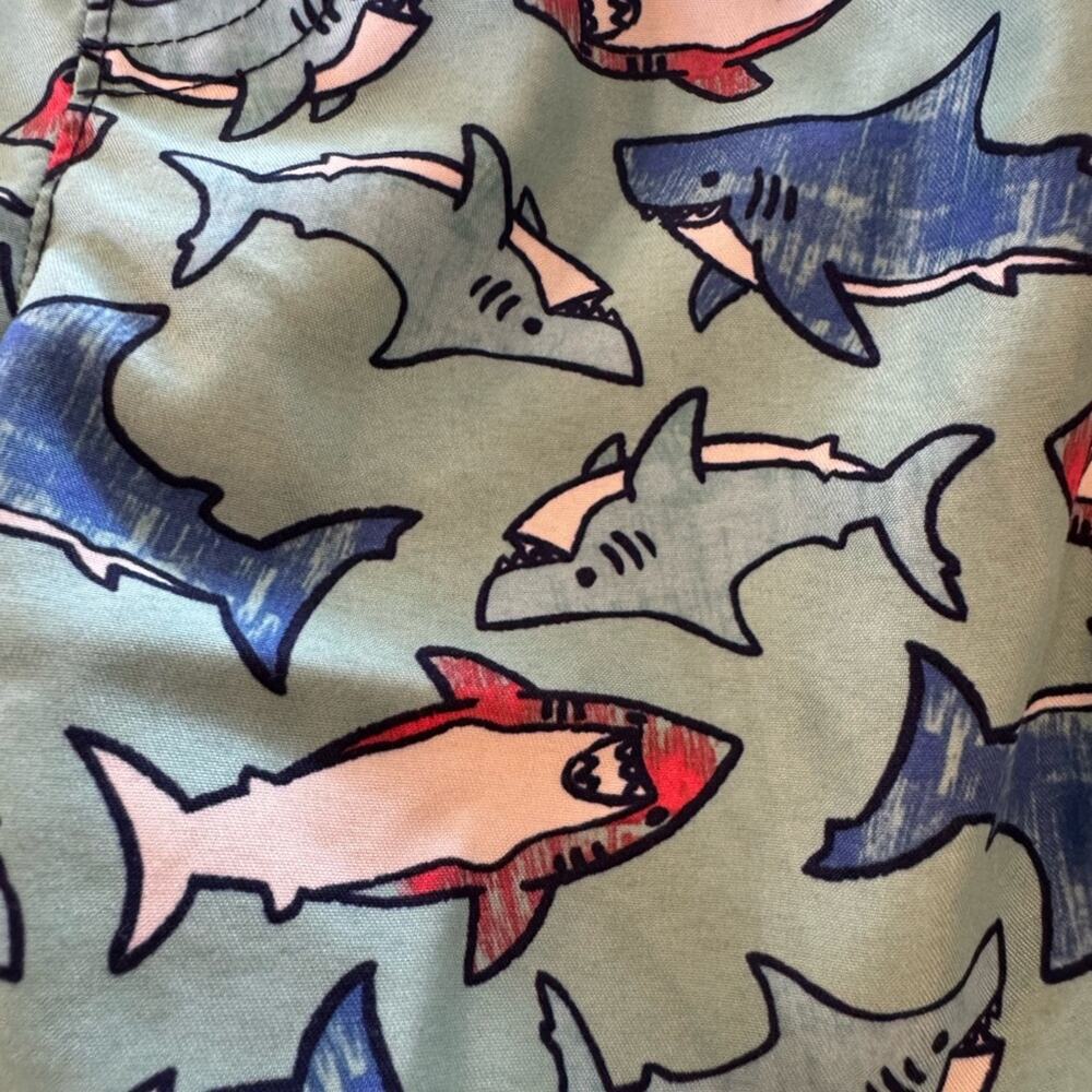 5 Pack! Toddler Boys Colorful Swim Shorts Set Size 3T - Picture 4 of 14
